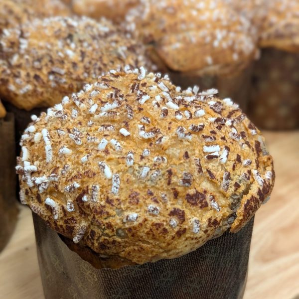 Panettone Dark chocolat